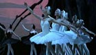 Swan Lake